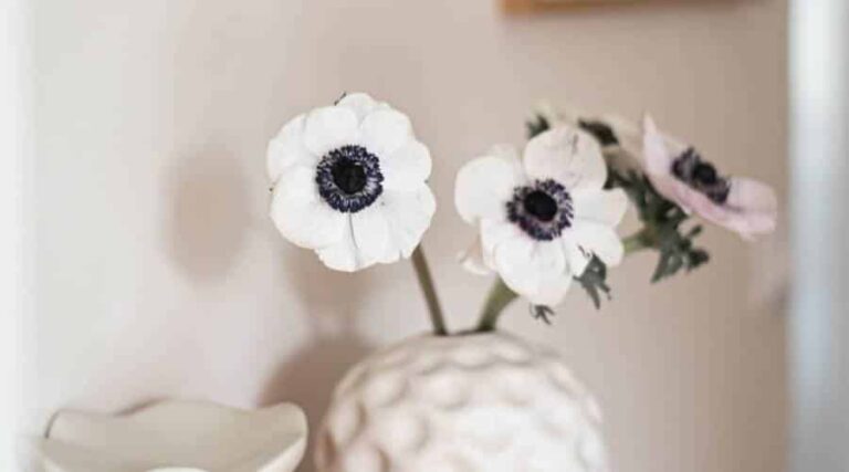 80 Journal Prompts For Mental Health +Free Printable