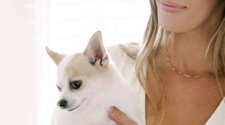 50 Gratitude Affirmations to Appreciate Your Life