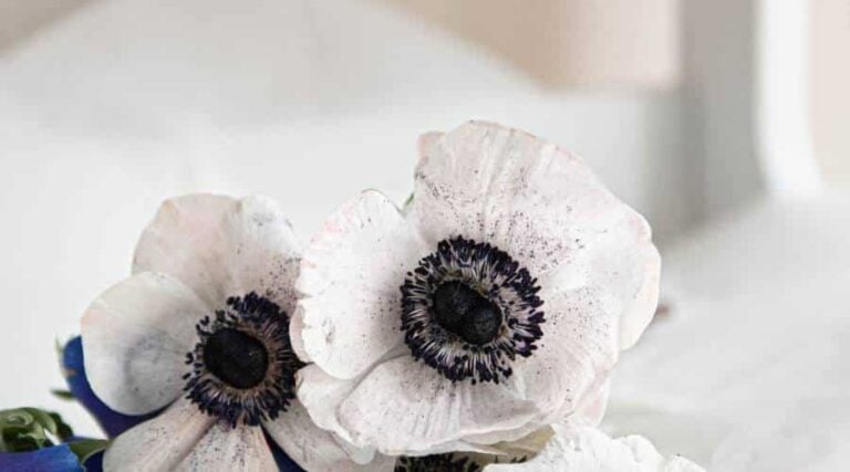 How to Manifest Something Overnight in 5 Simple Steps