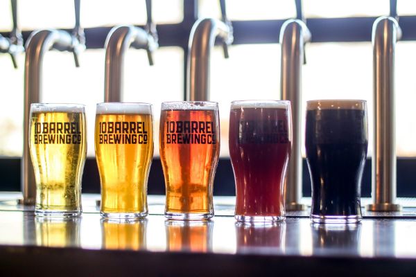 Rooster Fish Brewing Pub