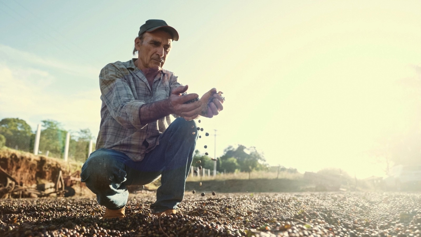 Farmer