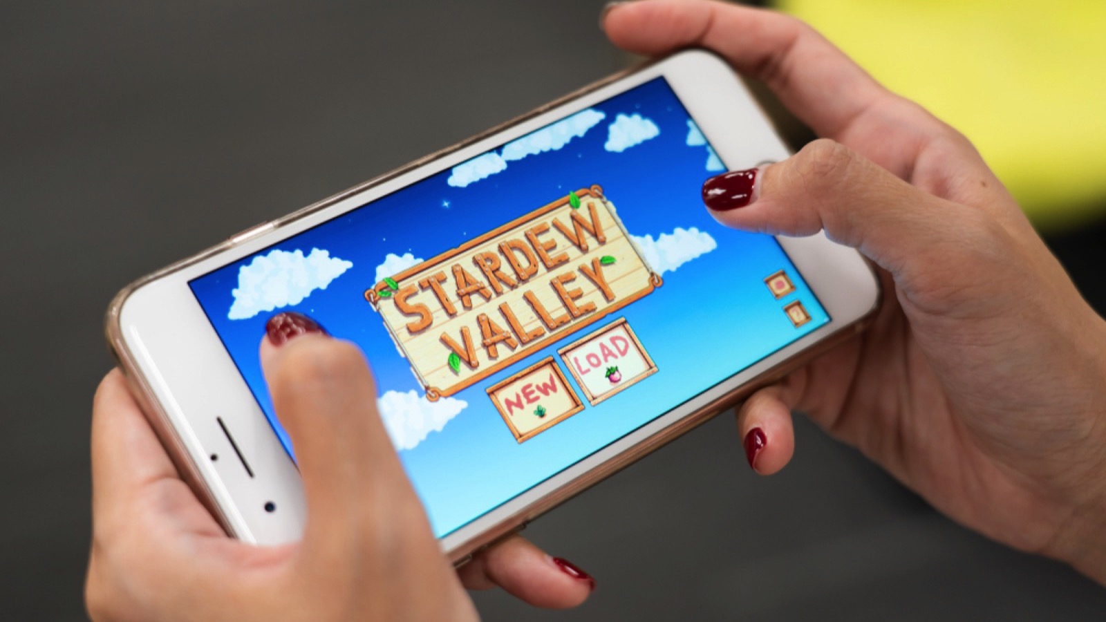 Stardew Valley