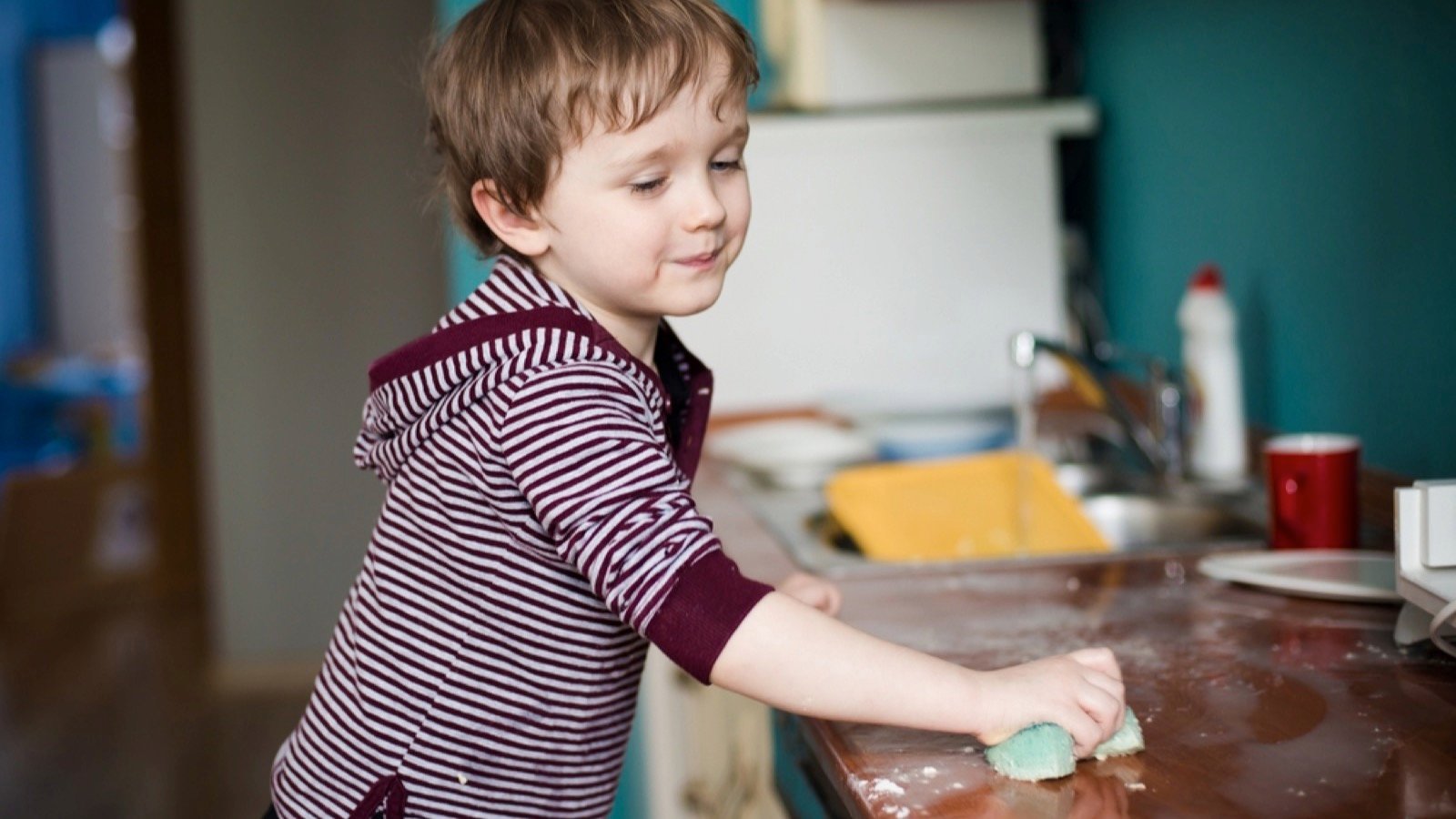 Kid cleaning kitchen