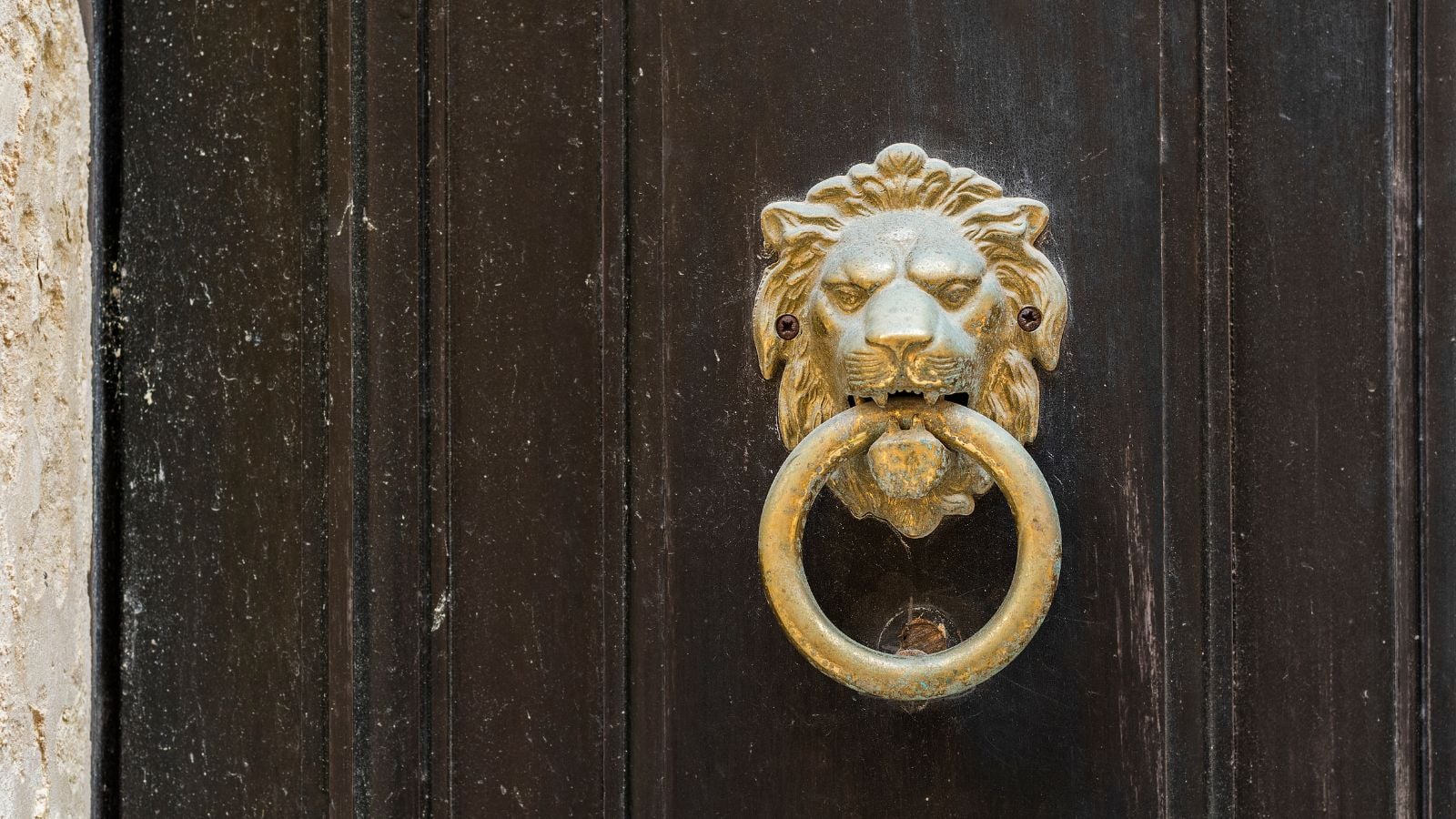 fancy door knocker