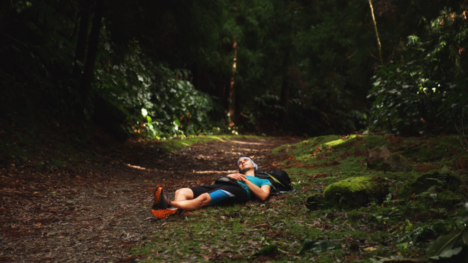 Man sleeping alone in forest