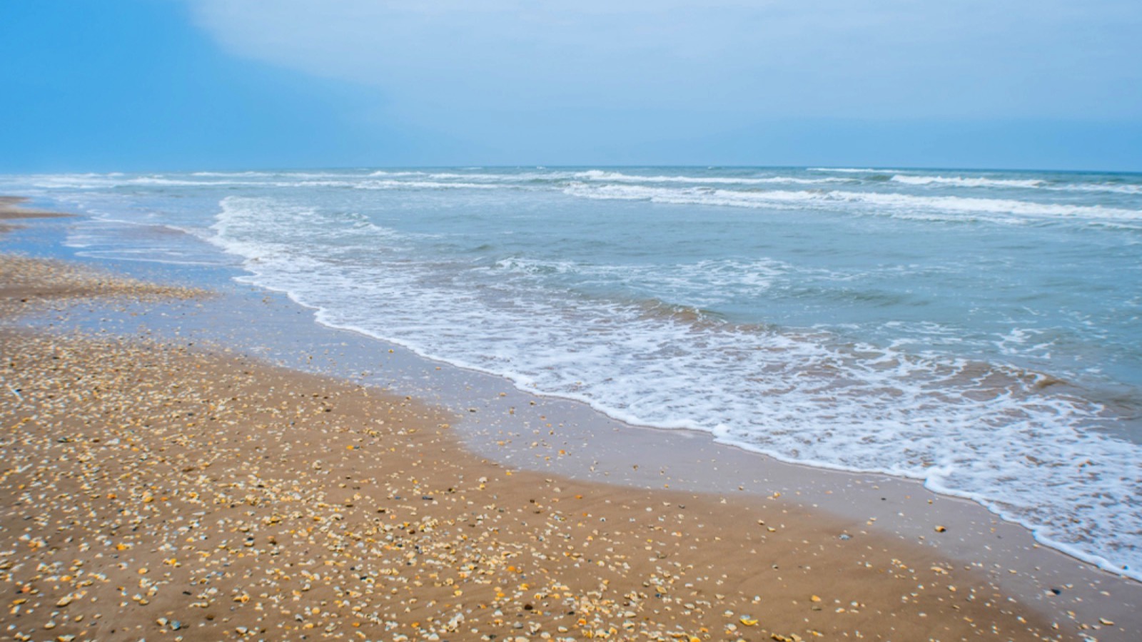 Sea