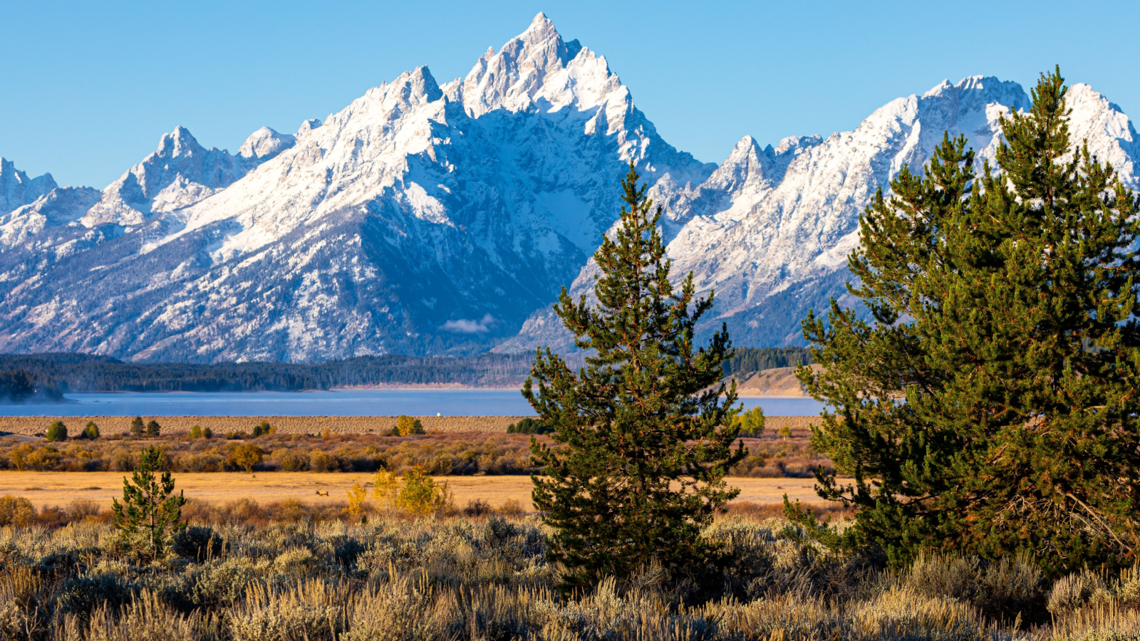Wyoming