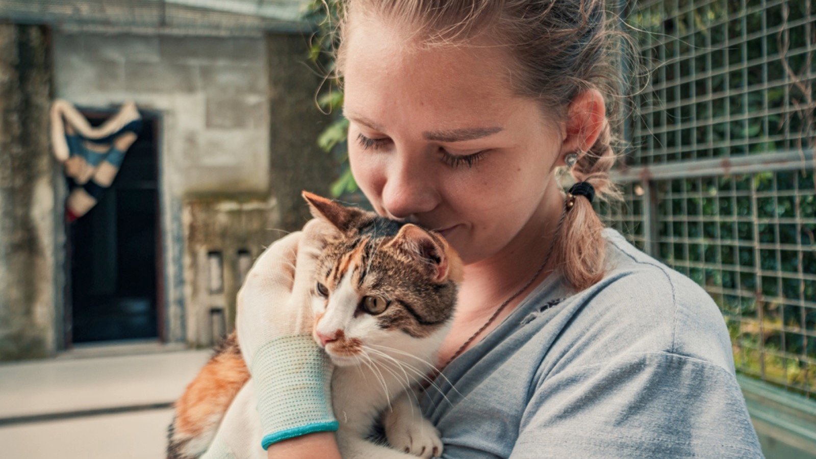 Animal Shelter worker
