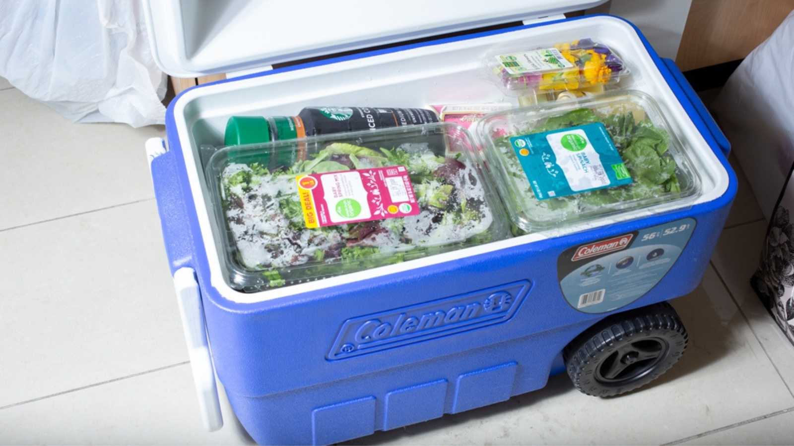 Coleman Coolers