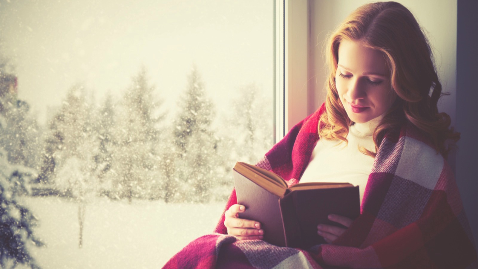 Girl reading book by windowside