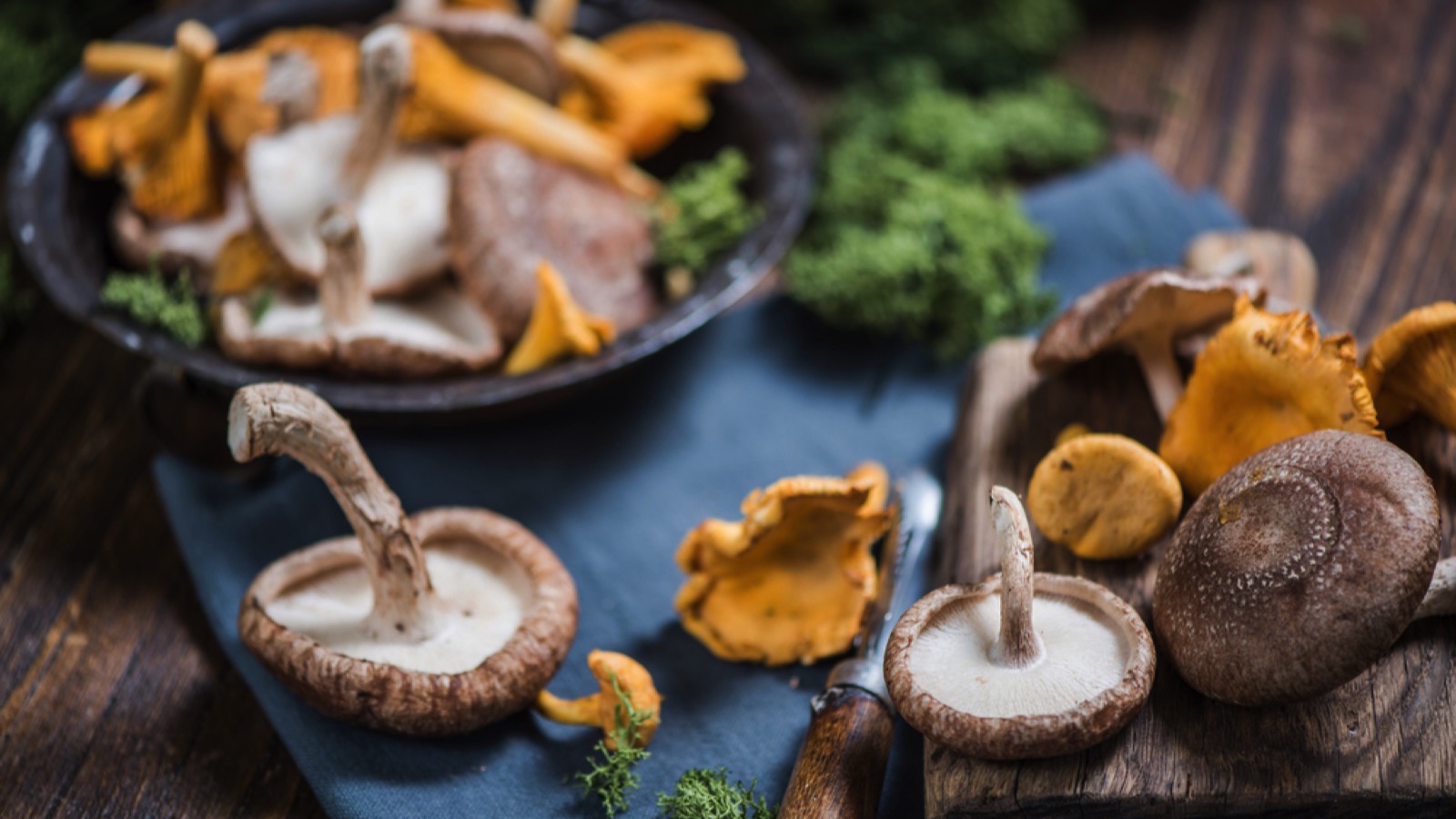 Mushroom