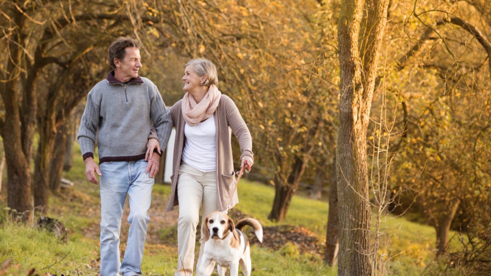 Senior couple walking with dog