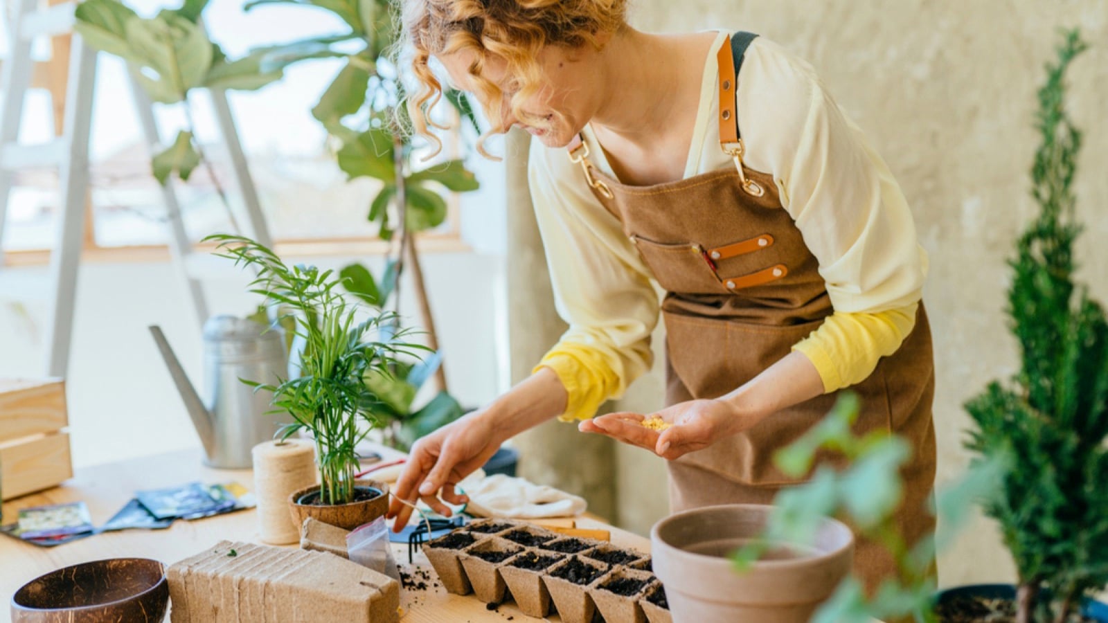 Woman holding seeds for home garden