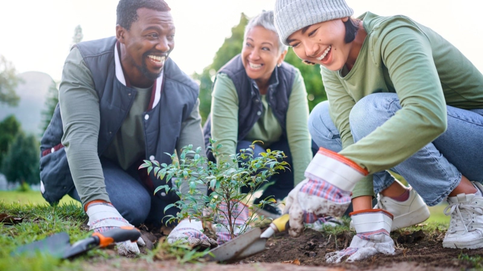 People volunteering and planting trees