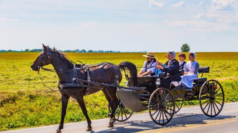 An Old Order Amish family ride in an open wagon in Lancaster County, Pennsylvania