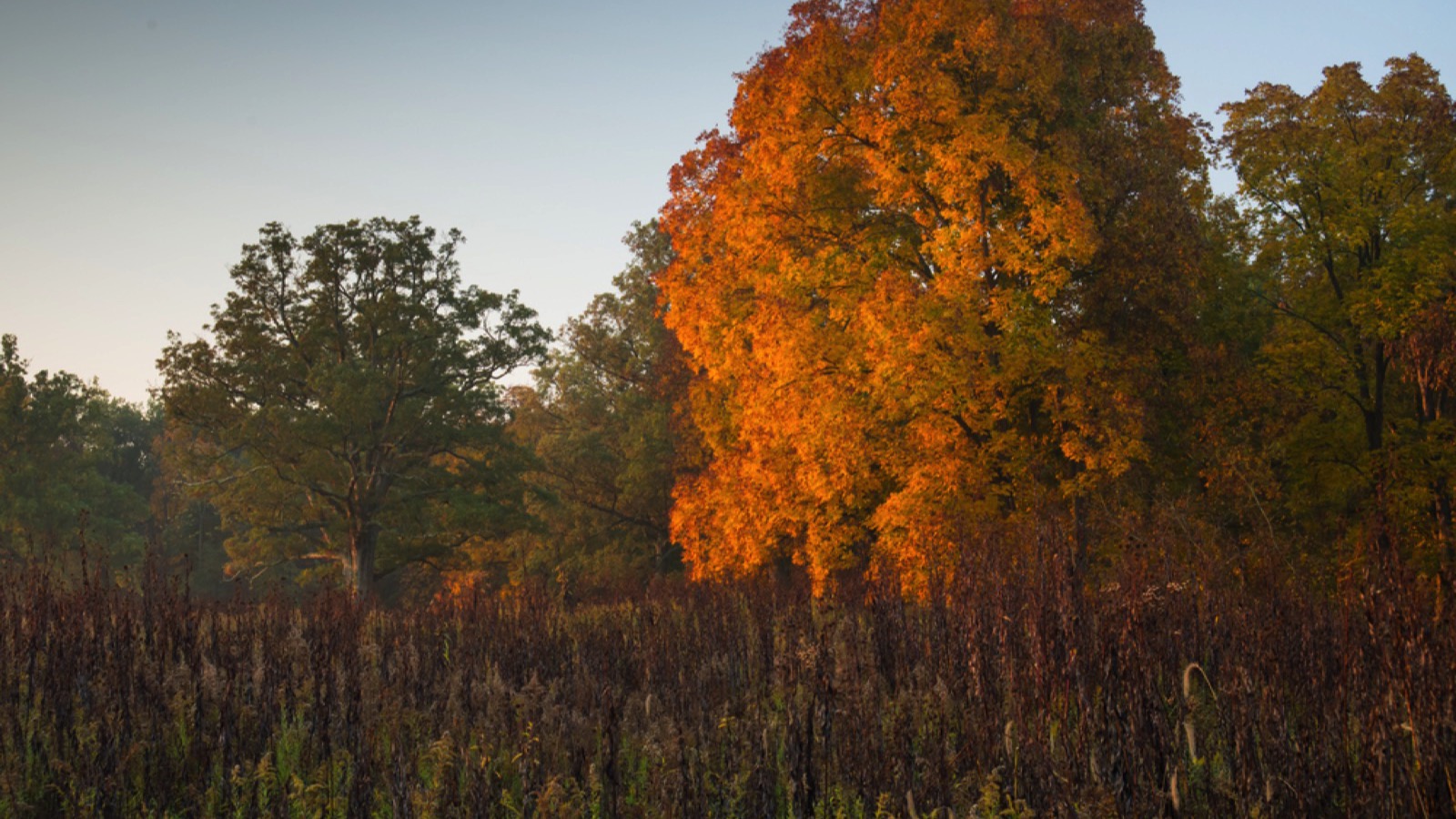 Battelle Darby Creek Metro Park