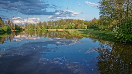 Białowieża National Park