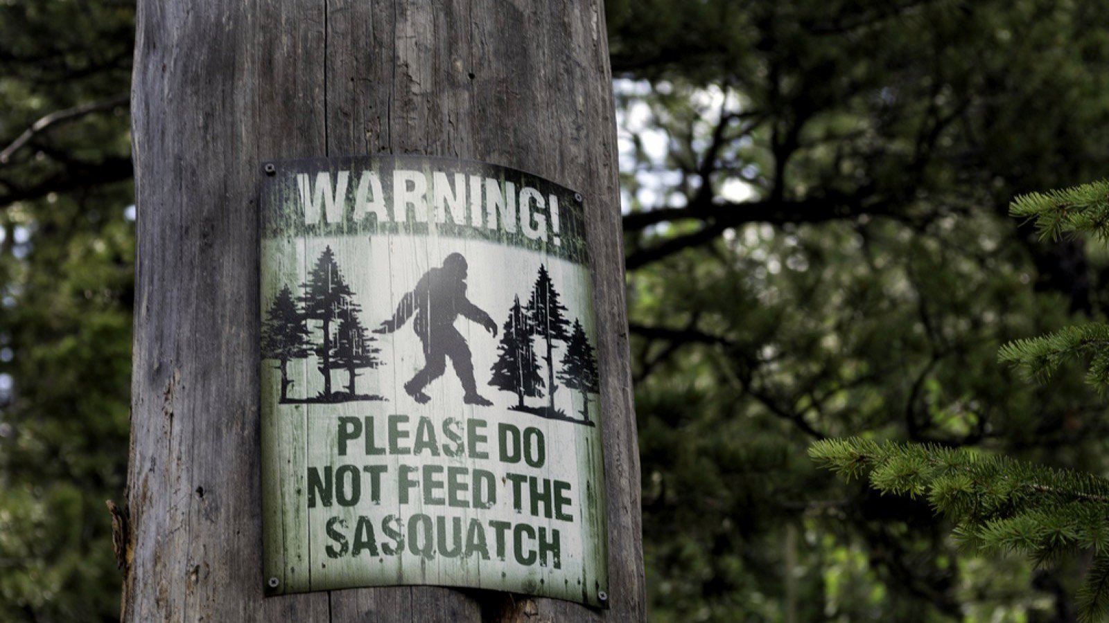 Bigfoot sign