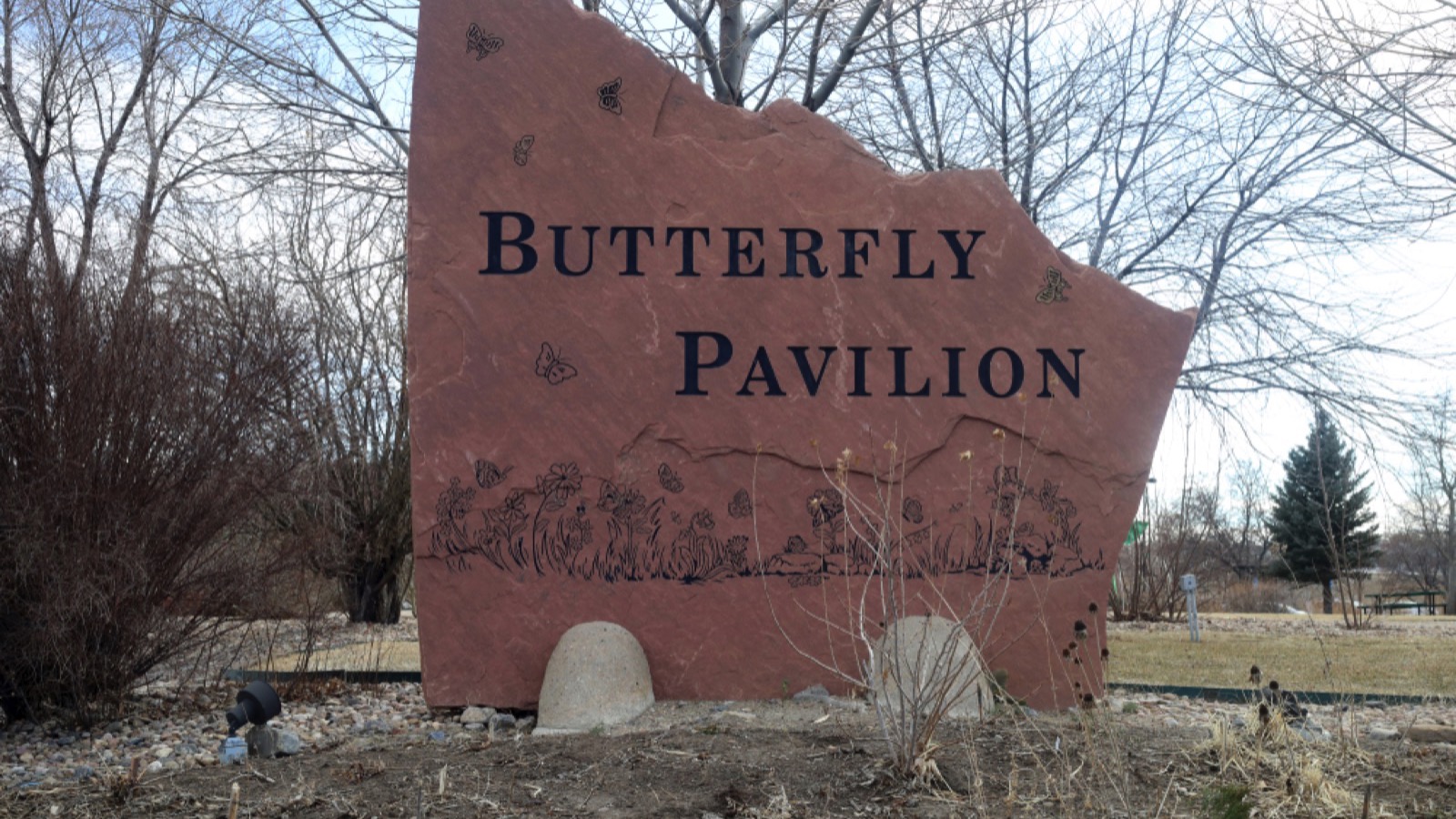 Butterfly Pavilion in Westminster