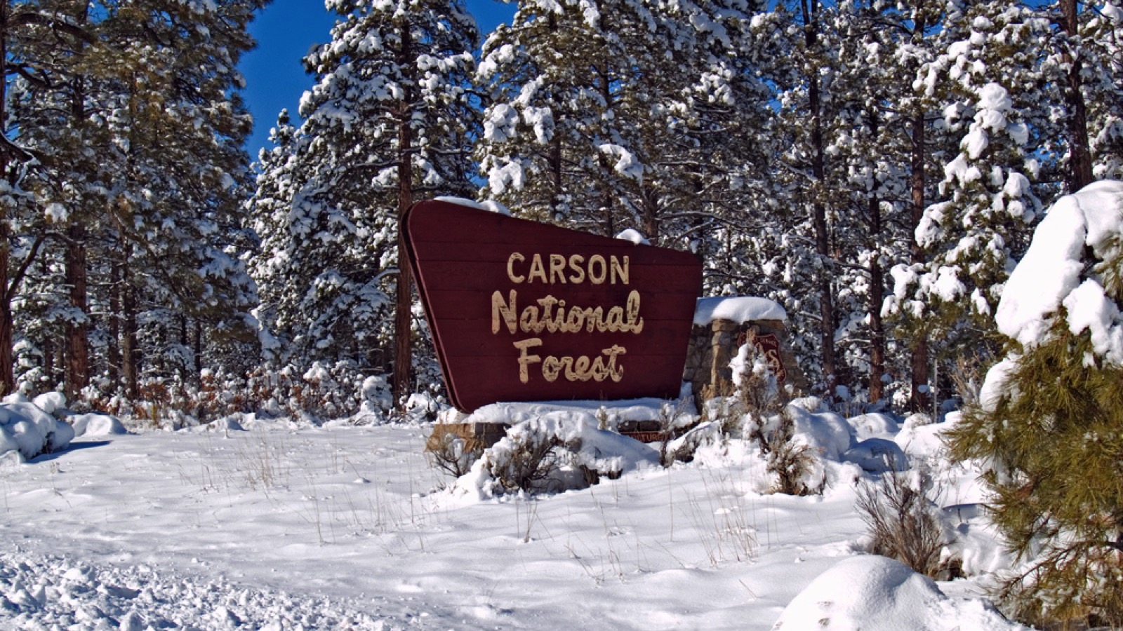 Carson National Forest