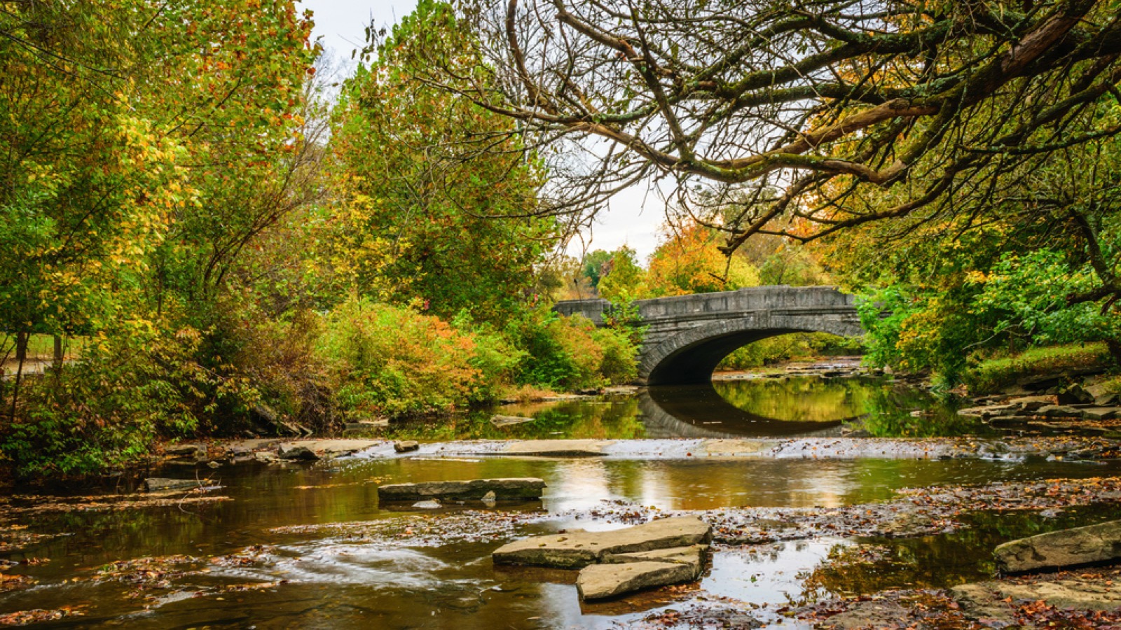 Cherokee Park Louisville, Kentucky