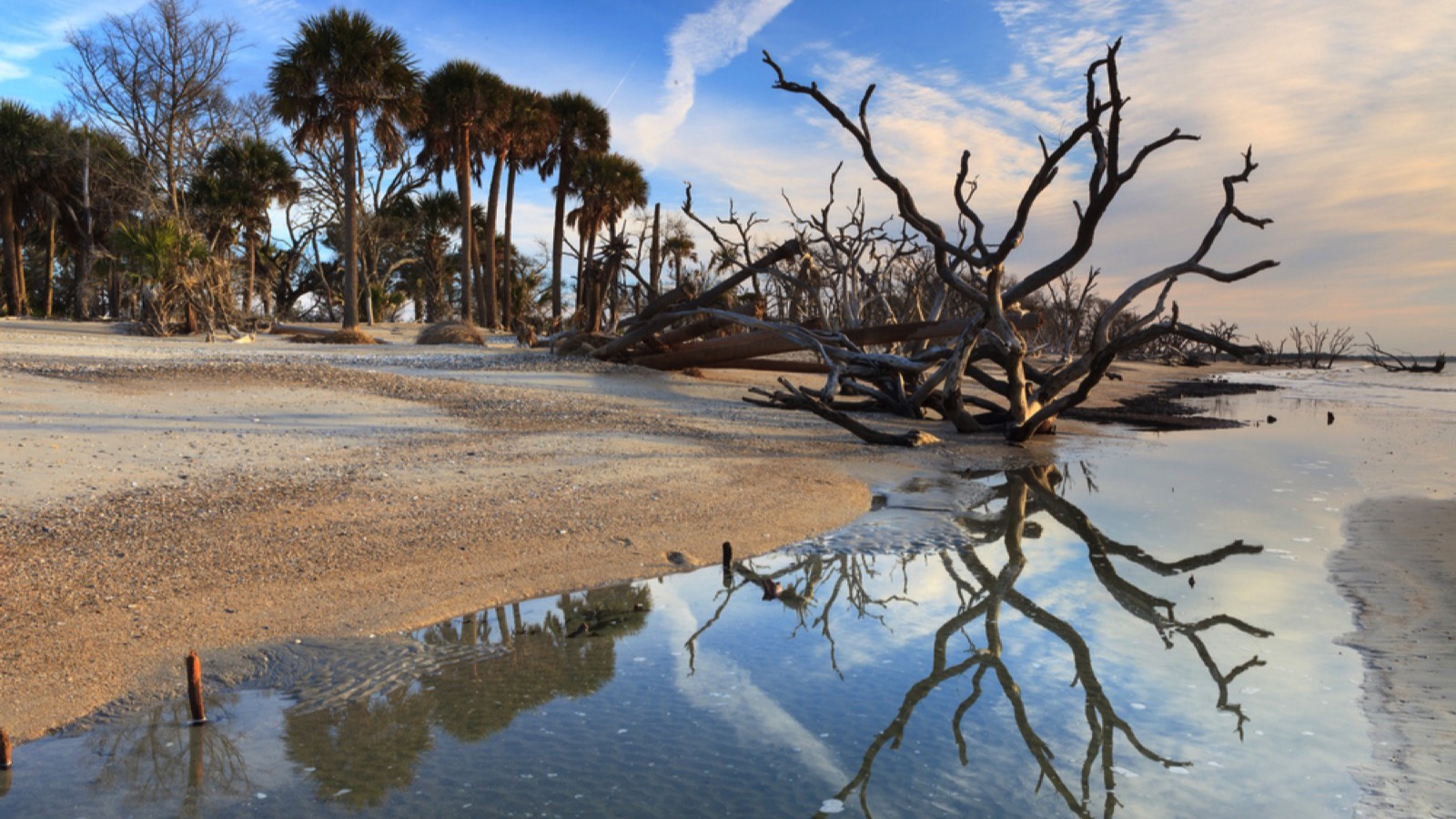 Coastal South Carolina beach landscape at Botany Bay near Charleston, South Carolina