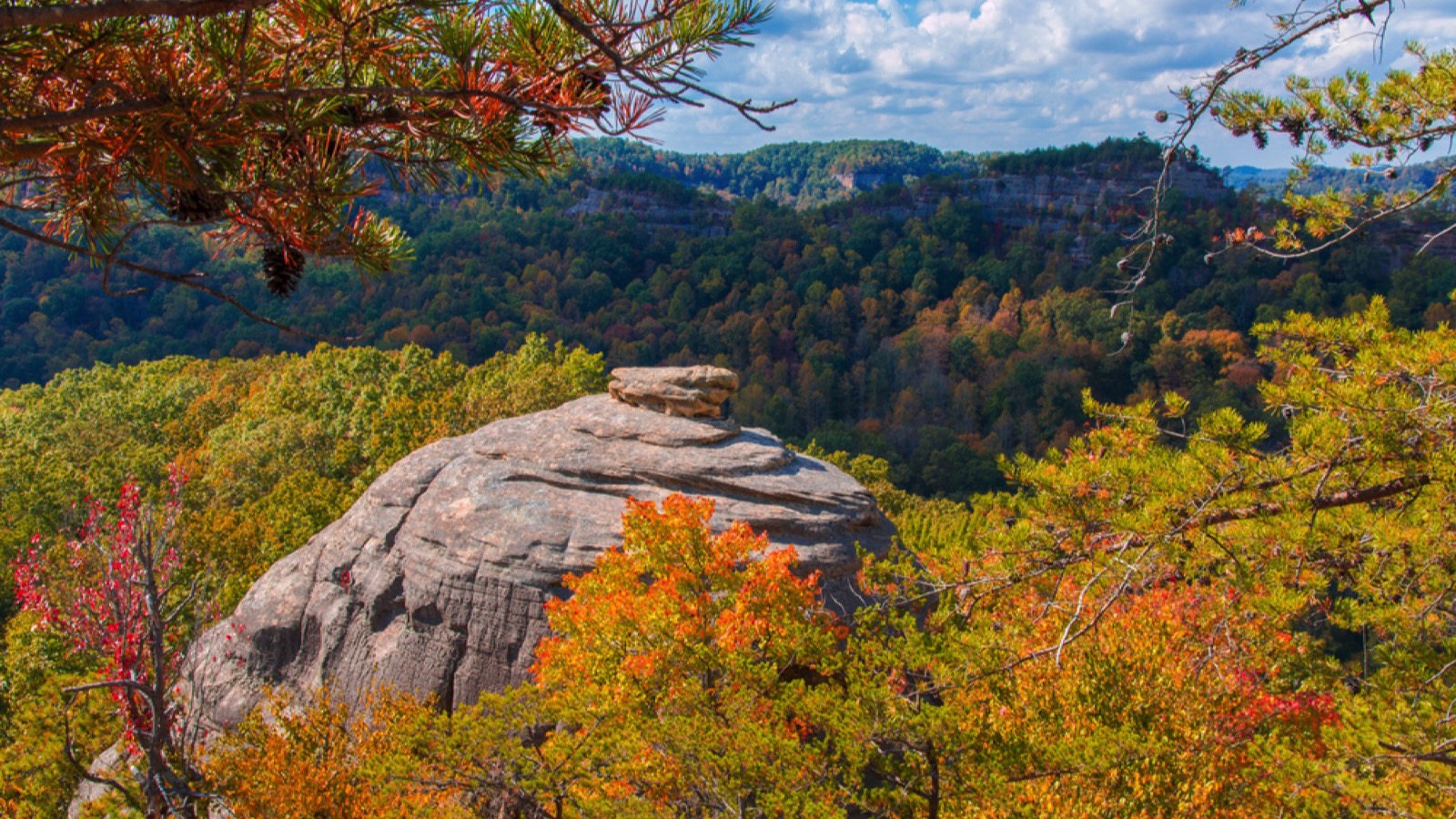 Daniel Boone National Forest