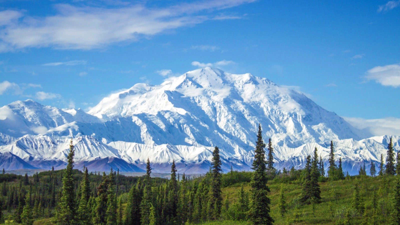 Denali National Park