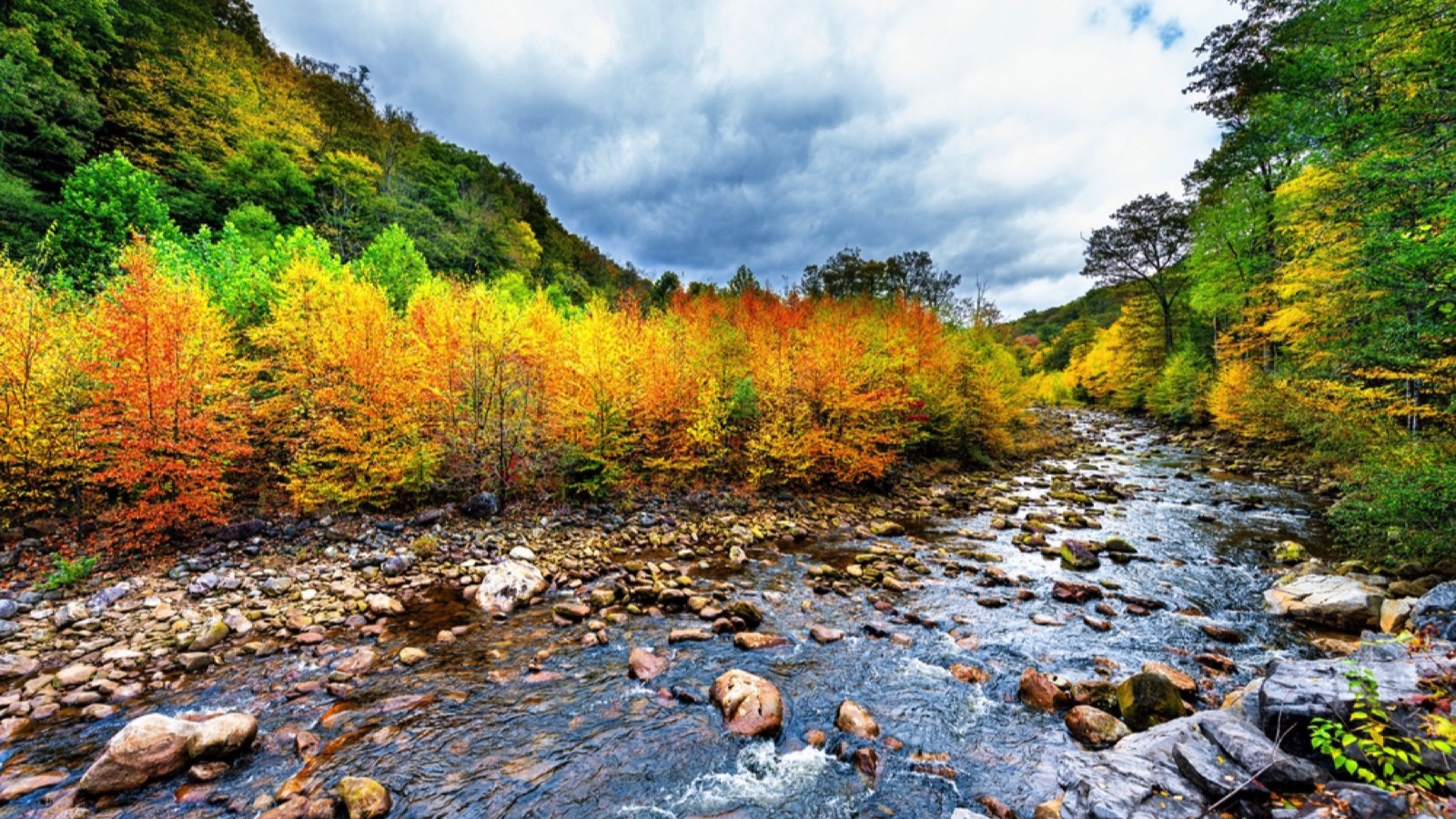 Dolly Sods Wilderness, Allegheny Mountains