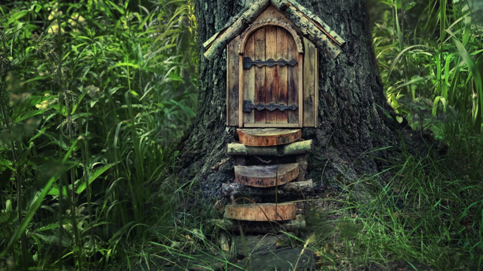 Fairy tale tree house in mystery woodland, pixie and elf home. Atmospheric nature image.