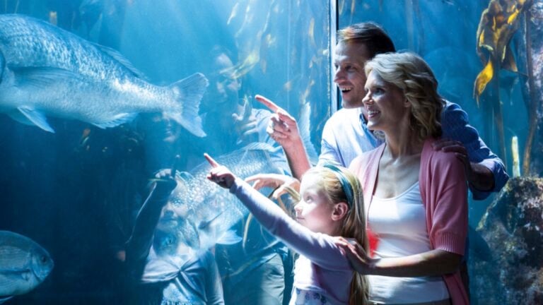 Family watching fish in aquarium