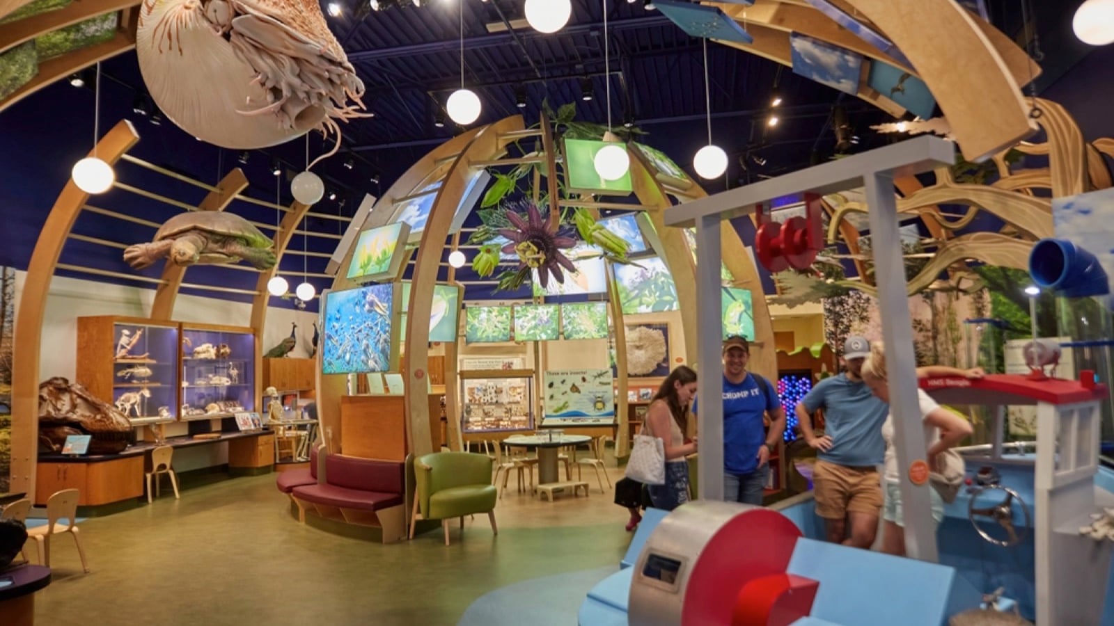 Florida Museum of Natural History, Gainesville