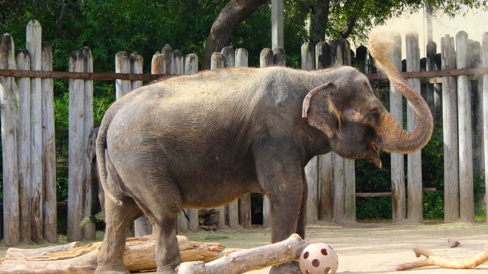 Fort Worth Zoo