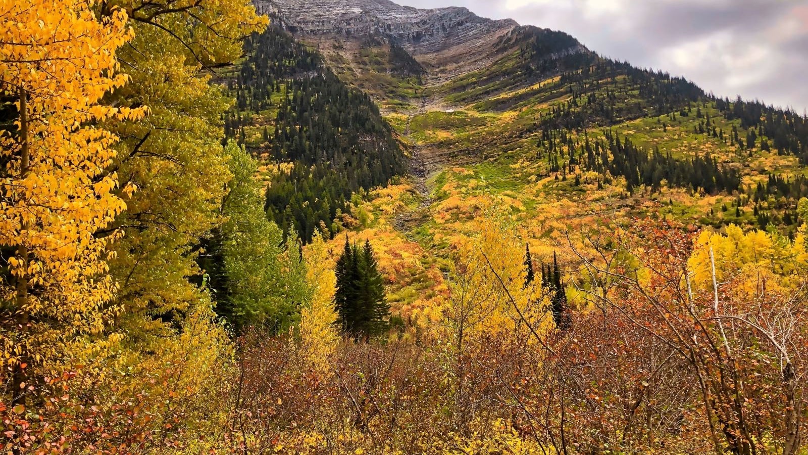 Glacier National Park, Montana