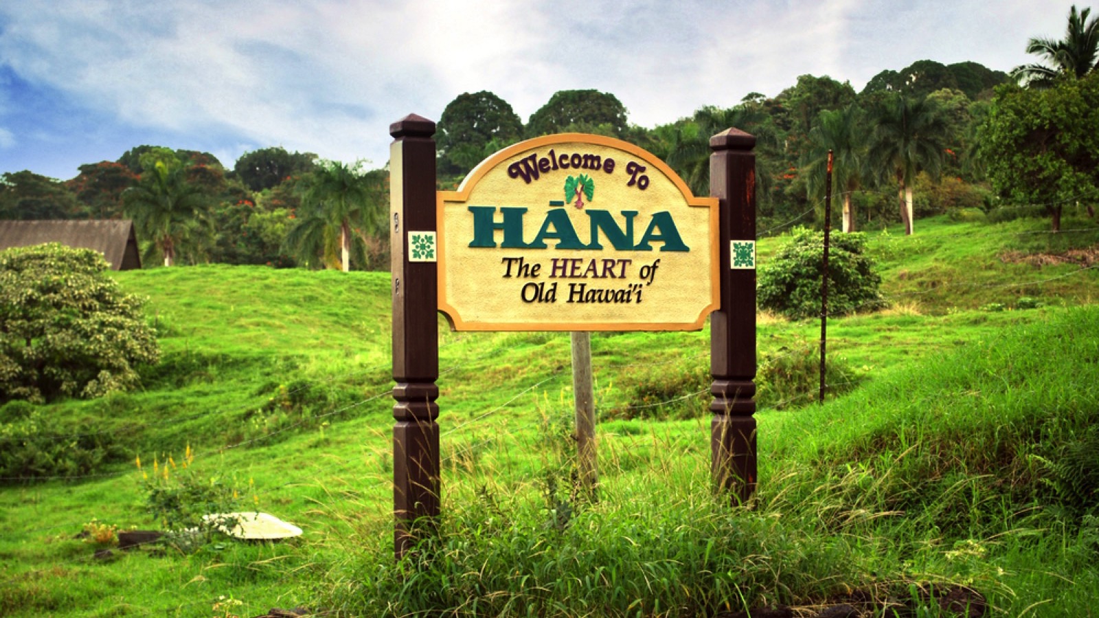 Hana