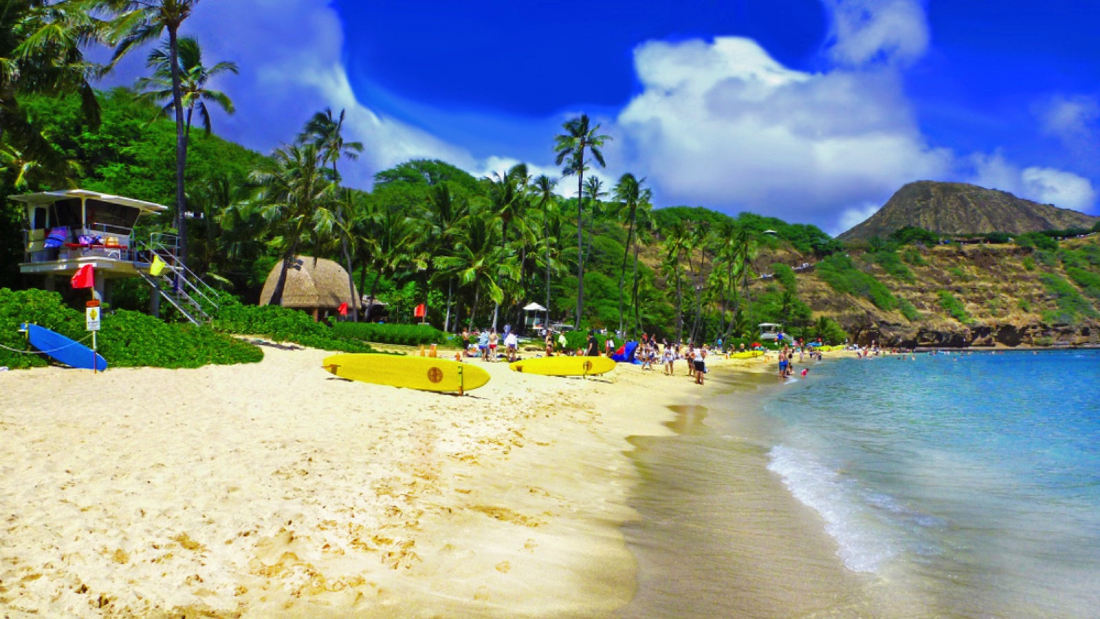 Hanauma Bay State Park