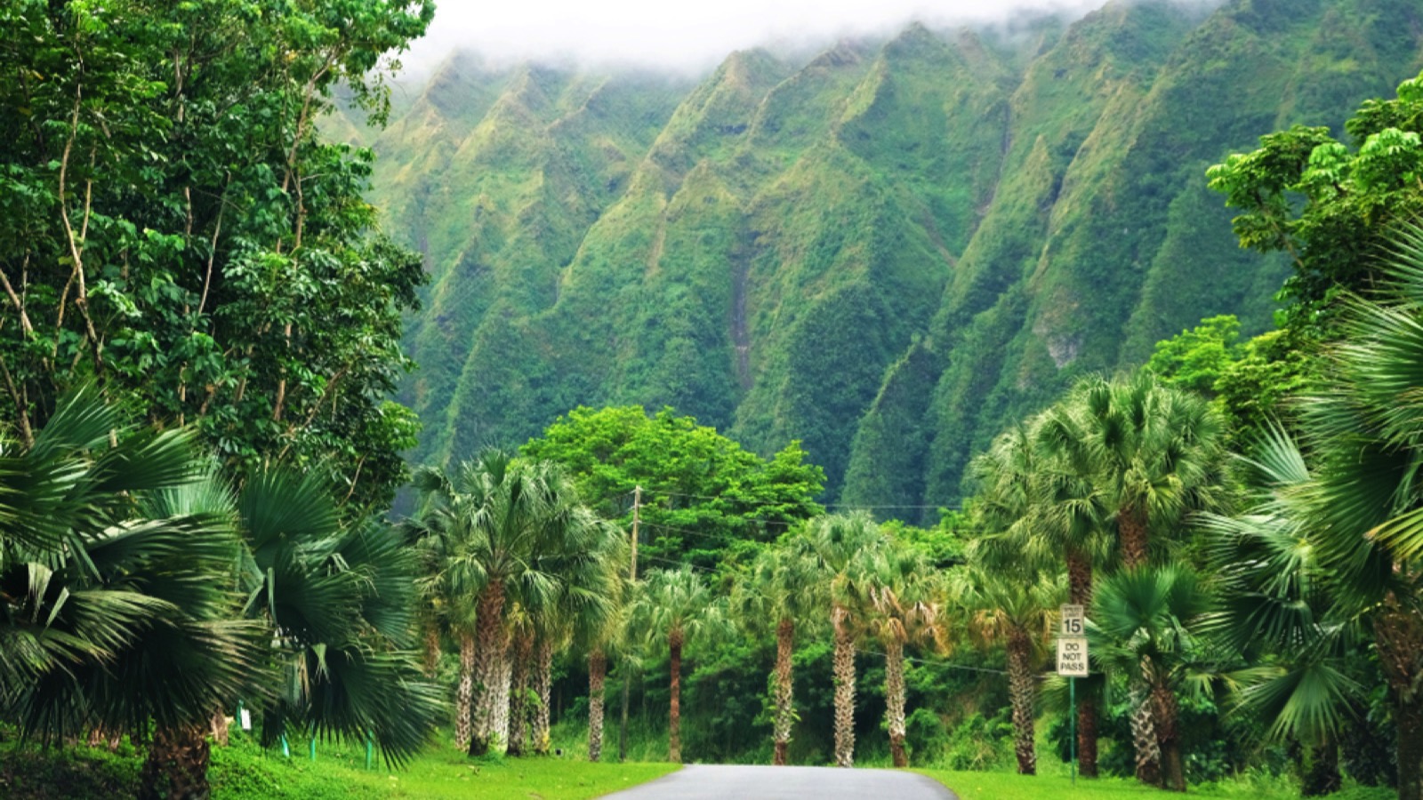 Ho'omaluhia Botanical Park