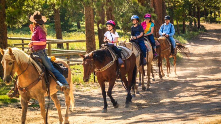 Horseback riding lesson in the woods in the Rocky Mountain, Colorado