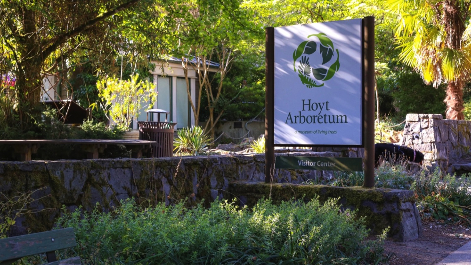 Hoyt Arboretum