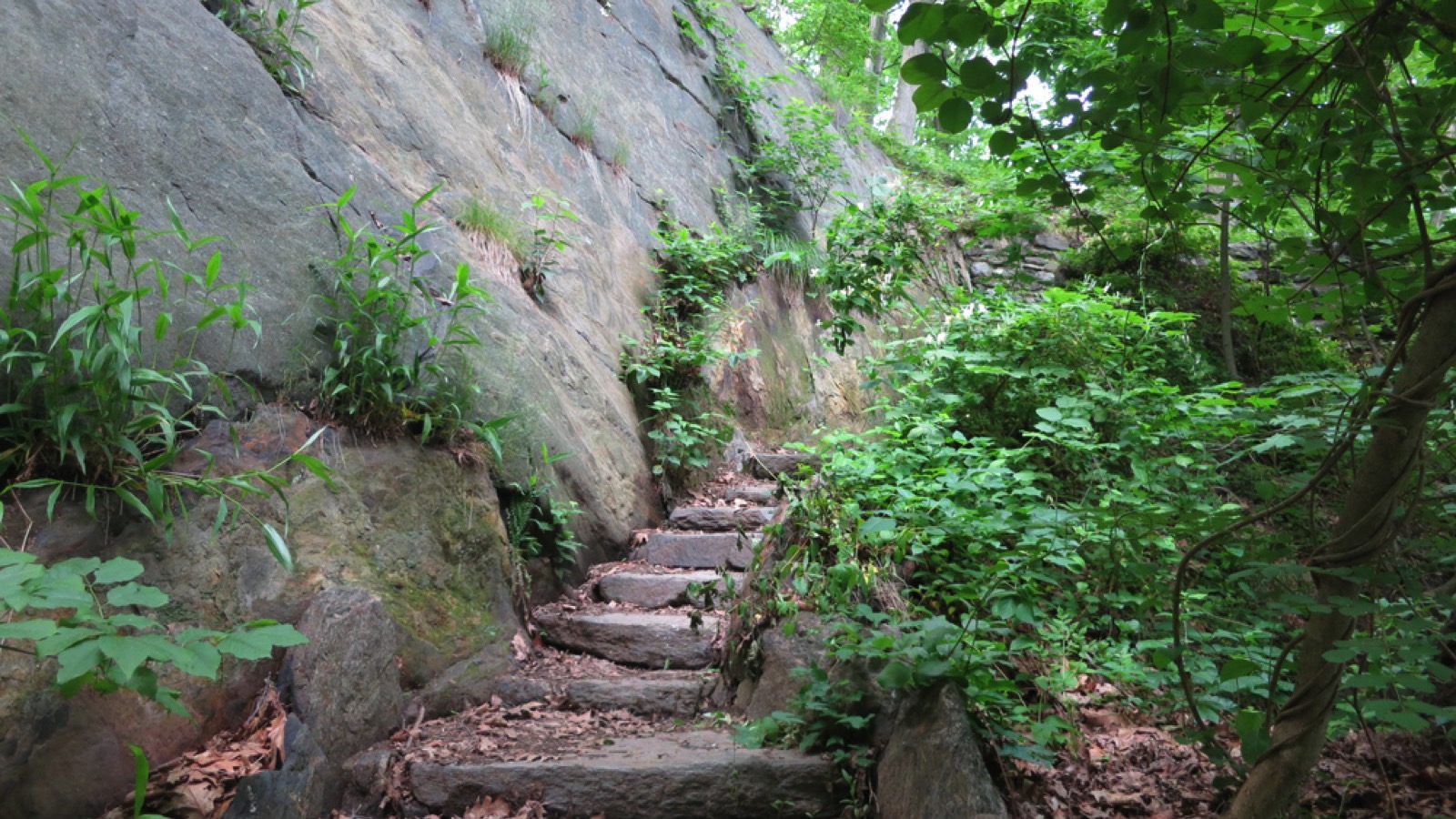 Inwood Hill Park, New York City Park