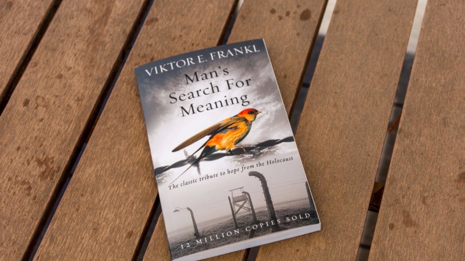 Man’s Search For Meaning