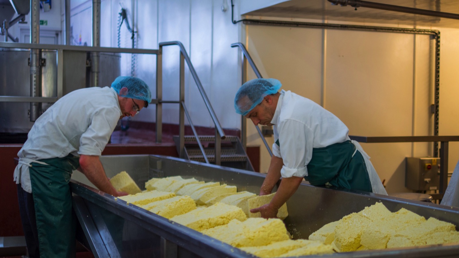 Men making cheese in factory