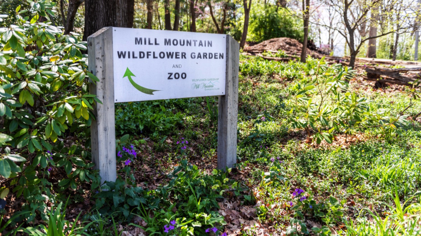 Mill Mountain Zoo