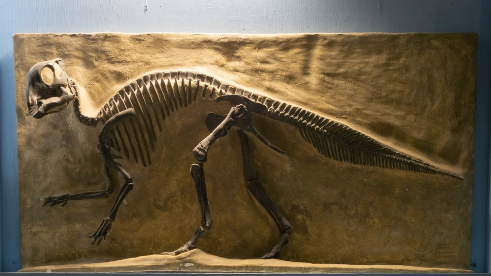 Montana Dinosaur Center in Bynum, Montana