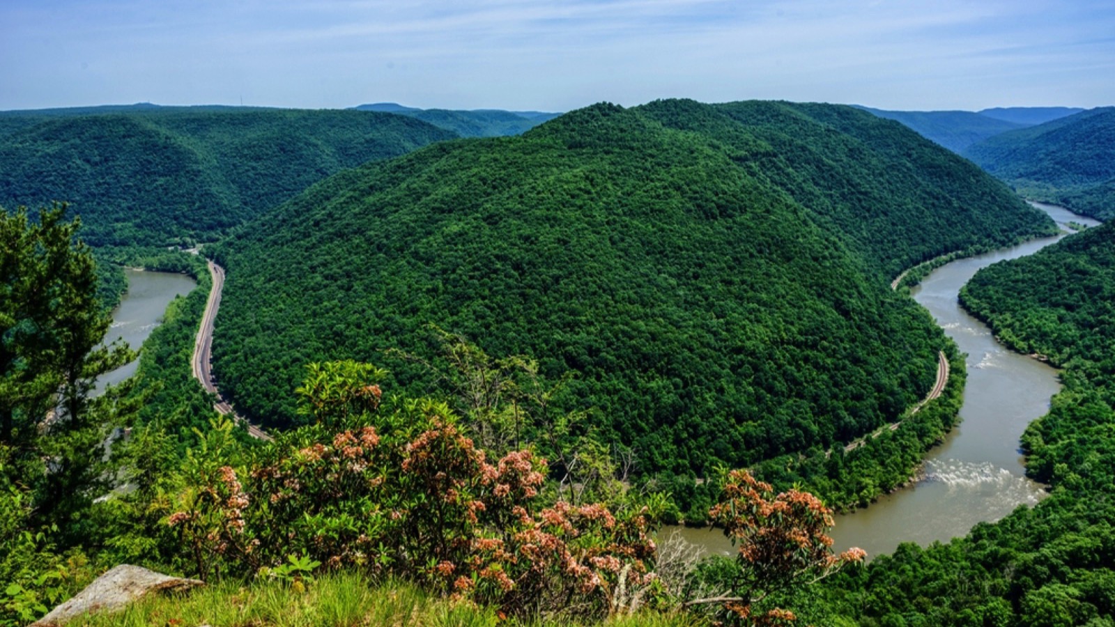 Mountain Laurel in bloom, Grandview, overlook New River Gorge National Park and Preserve, Raleigh County, West Virginia