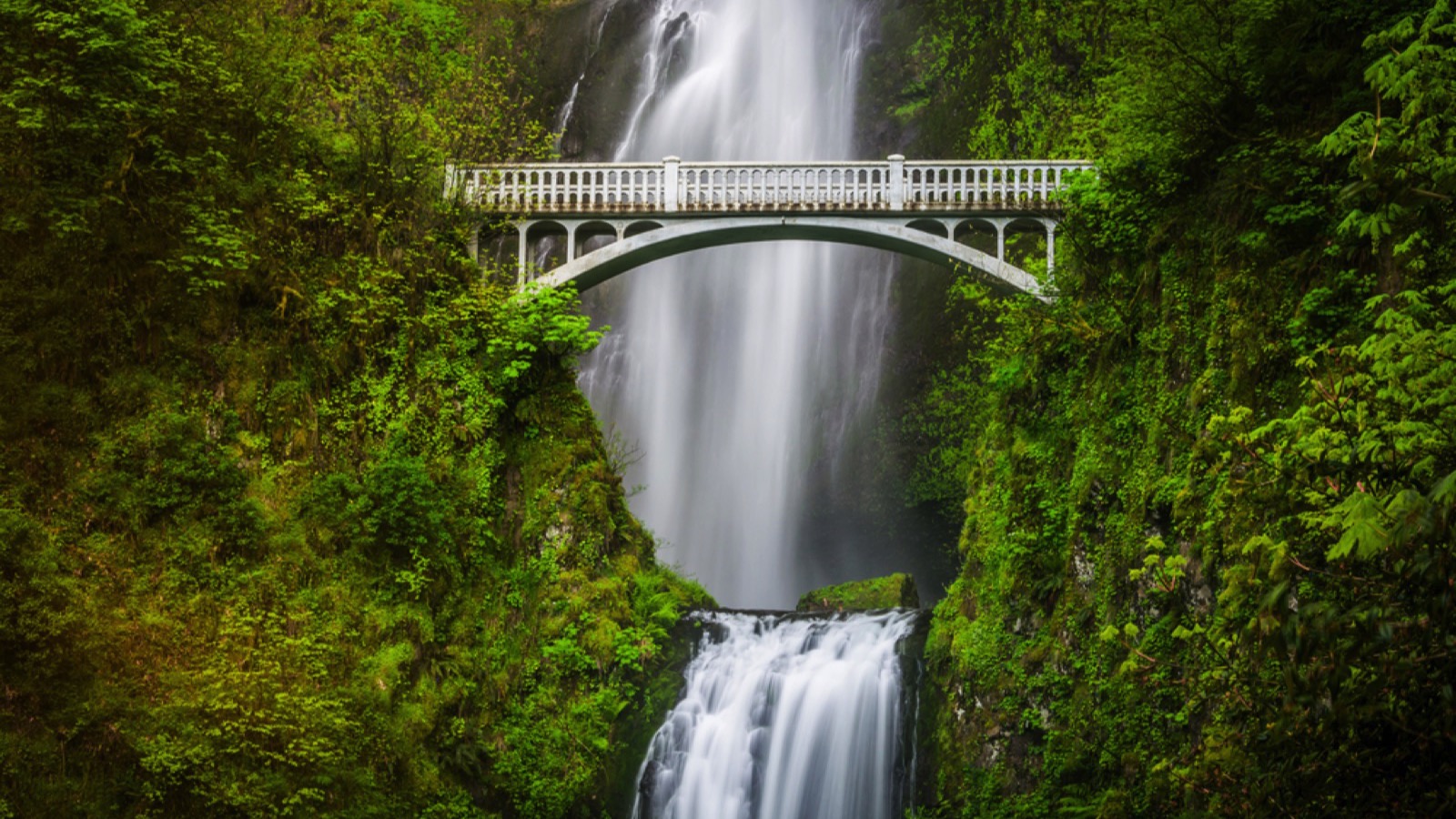 Multnomah Falls and bridge, in the Columbia River Gorge, Oregon