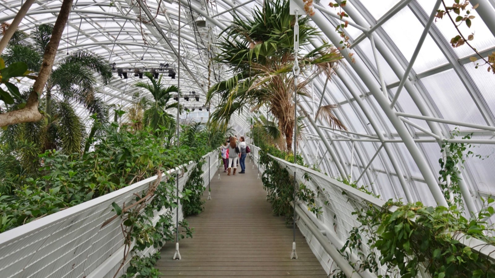 Myriad Botanical Gardens