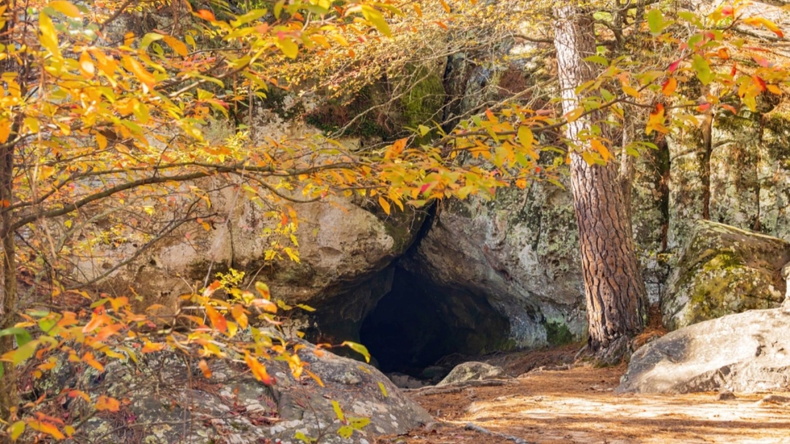 Nature cave of Robbers Cave State Park at Oklahoma