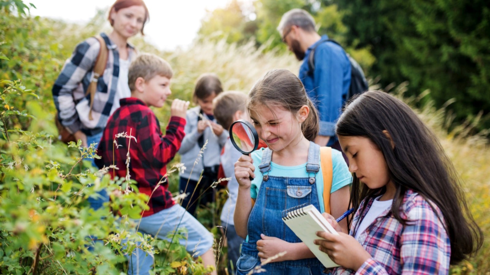 Nature study camp for children
