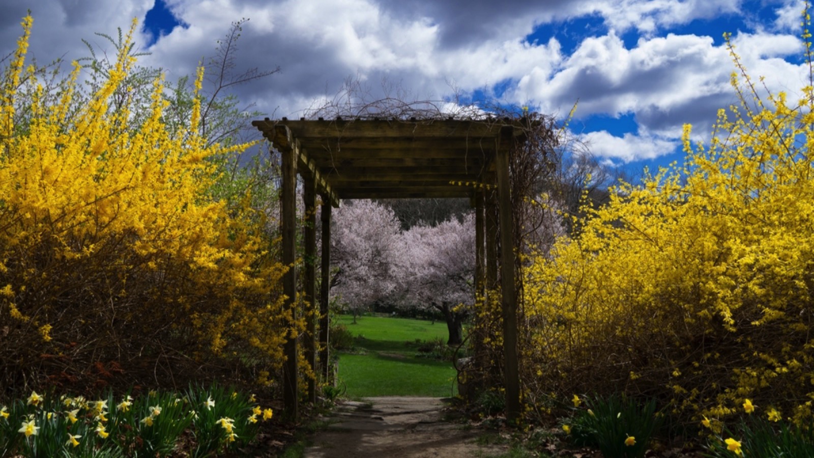 New Jersey Botanical Gardens